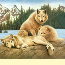 Схема вышивки «Серия "Хищники". Волки»