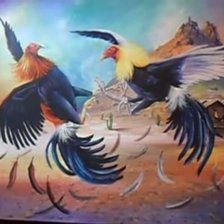 Схема вышивки «Pelea de gallos»