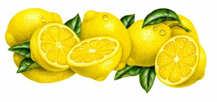 лимон - для кухни, фрукты, лимоны - оригинал