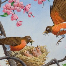 Схема вышивки «птицы иллюстрации»