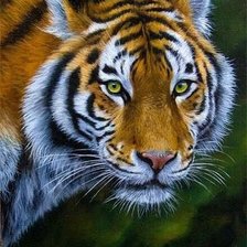 Схема вышивки «№2380949»