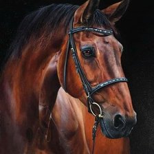 Схема вышивки «№2380958»