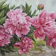 Схема вышивки «Пионы»