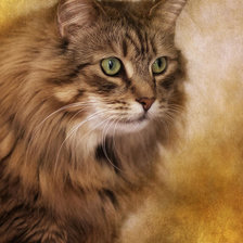 Схема вышивки «Cat»