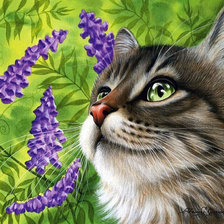 Схема вышивки «Gato.»