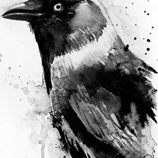 Схема вышивки «Галка»