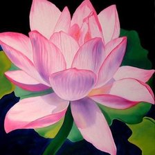 Схема вышивки «нежный лотос»