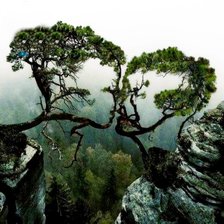 Схема вышивки «№2382006»