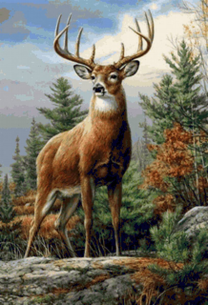 олень - осень, олень, животные - предпросмотр