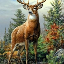 Схема вышивки «олень»