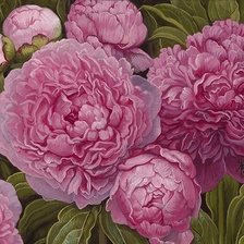 Схема вышивки «цветы»