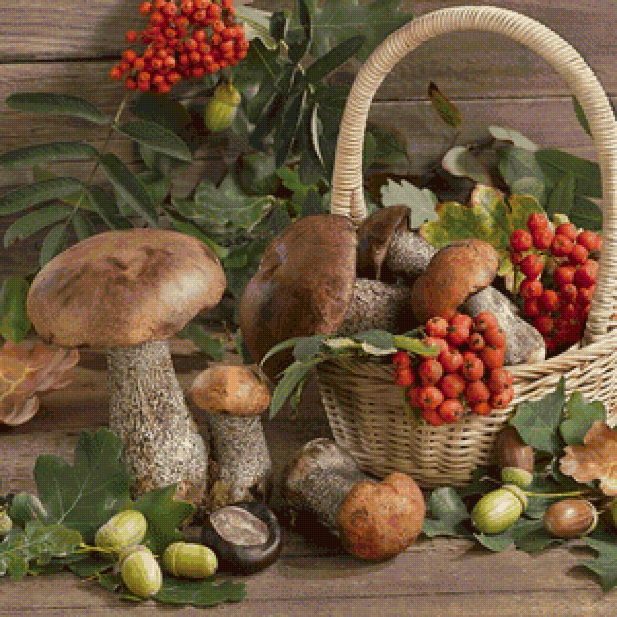 Грибы - предпросмотр