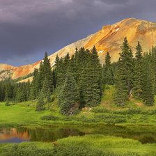 Схема вышивки «Природа»