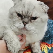 Схема вышивки «Гермес»