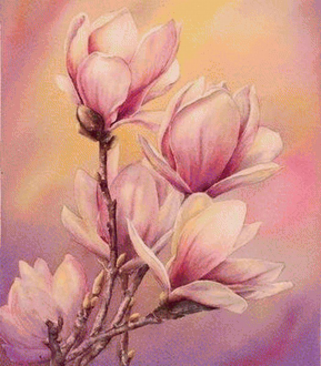 Ветка магнолии - ветка, магнолия, цветок - предпросмотр