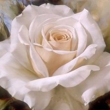 Схема вышивки «Роза»