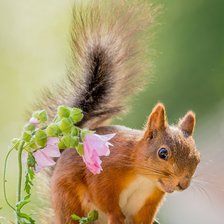 Схема вышивки «№2383549»