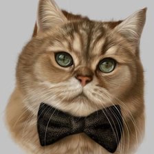 Схема вышивки «Кот»