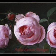 Схема вышивки «Розы»