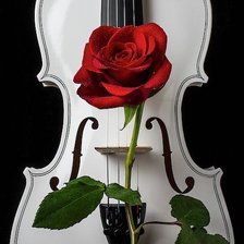 Схема вышивки «№2383844»