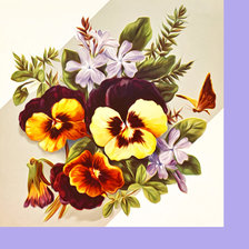 Схема вышивки «Серия "Цветы". Анютки»