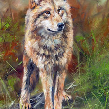 Лесной житель. Люси Билодау