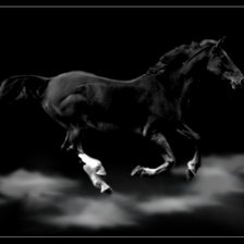 Схема вышивки «Лошадь скачет»