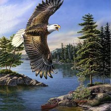 Схема вышивки «Орёл»