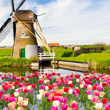 Схема вышивки «Мельница»