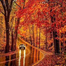 Схема вышивки «№2385196»