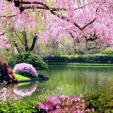 Схема вышивки «№2385640»