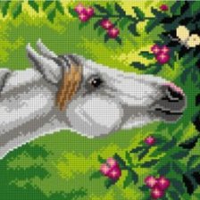 Схема вышивки «Лошадь и бабочка»