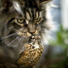 Схема вышивки «Игривые животные»