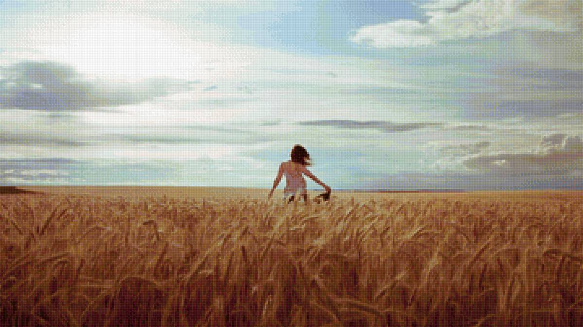 Девушка в поле - колосья, поле, девушка - предпросмотр