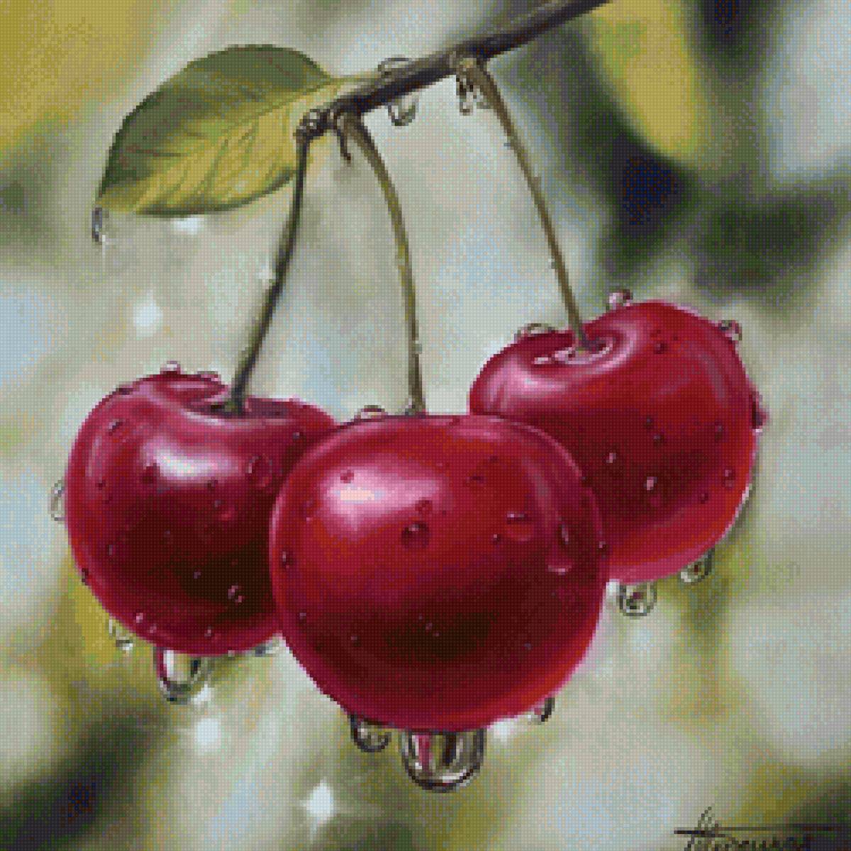 Вишня - предпросмотр