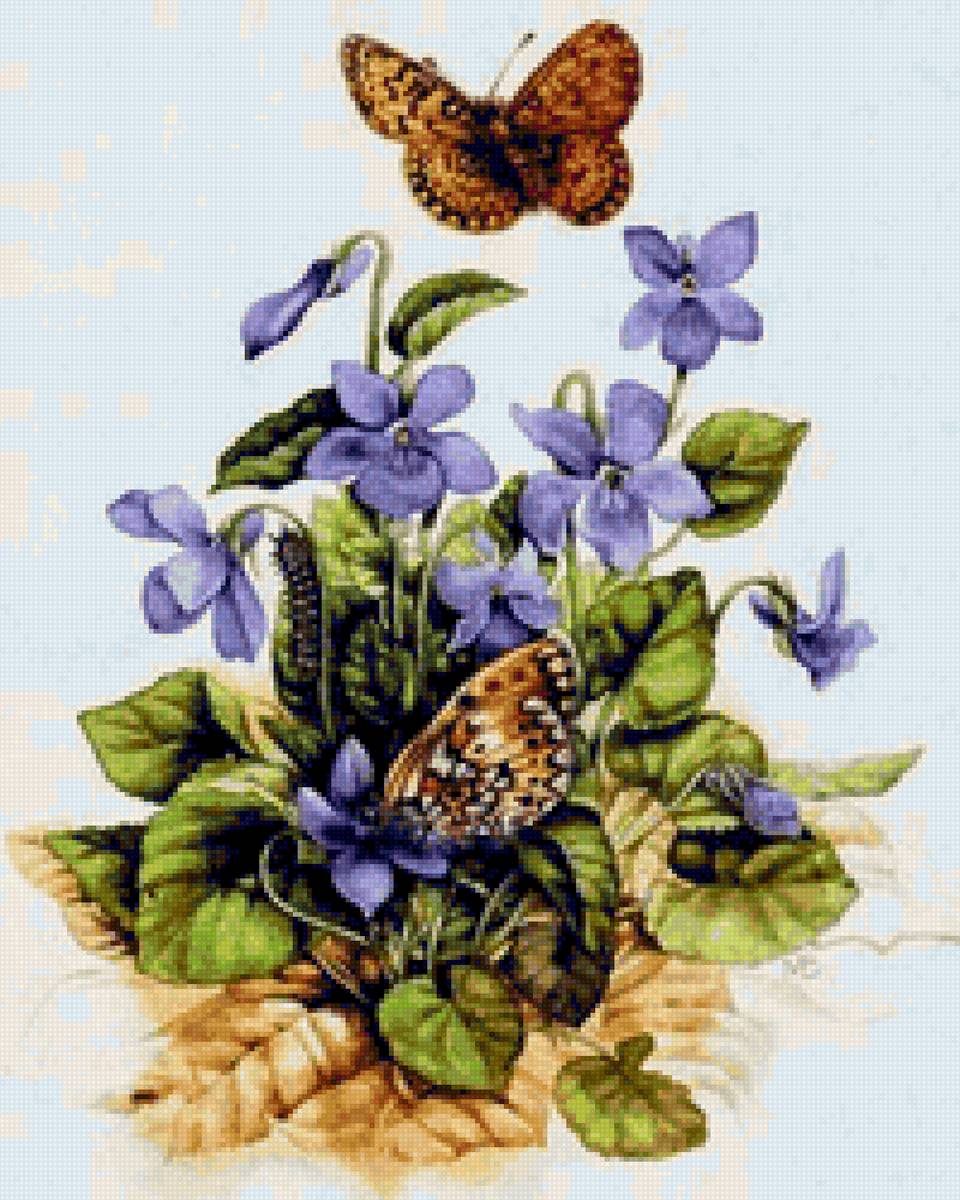 лесные фиалки - весна, бабочки, фиалки, лес, цветы - предпросмотр