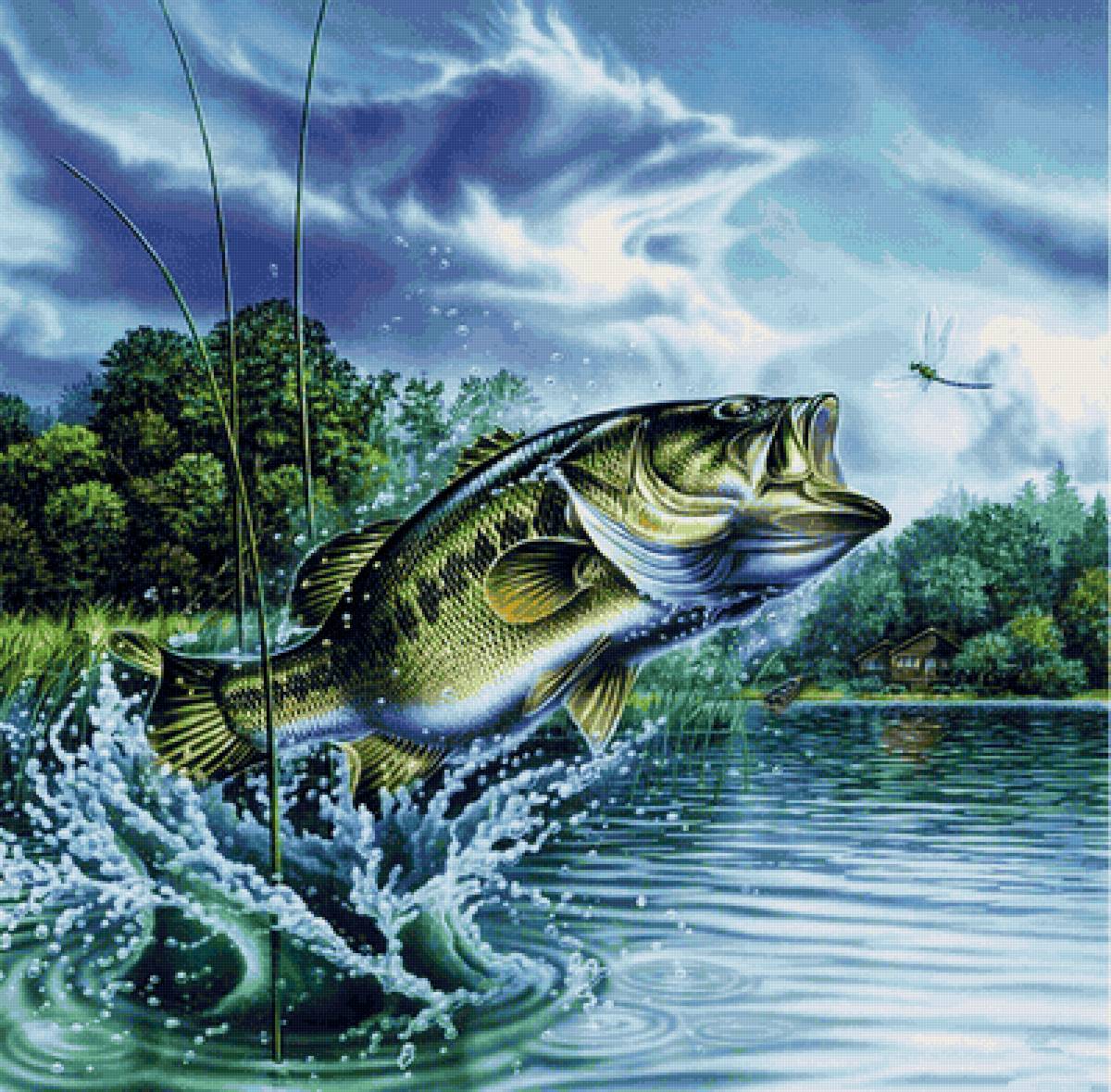 Рыба - рыба, рыбалка, река - предпросмотр