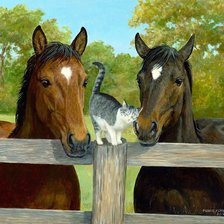 Схема вышивки «Кони»