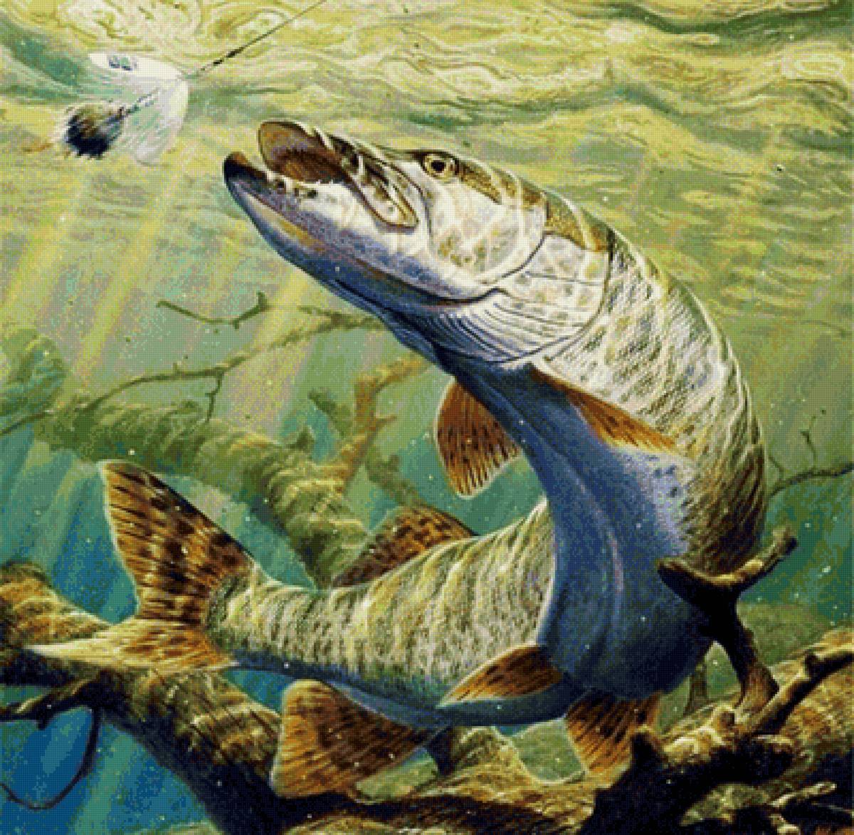 Рыбалка - удочка, речка, щука, рыбалка, рыба - предпросмотр