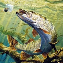 Схема вышивки «Рыбалка»