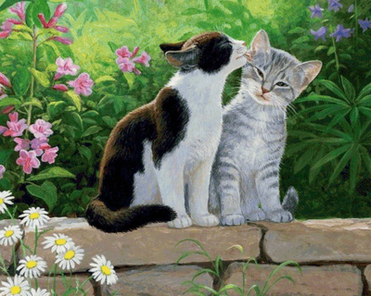 Кошачья любовь - счастье, кошки, любовь - предпросмотр