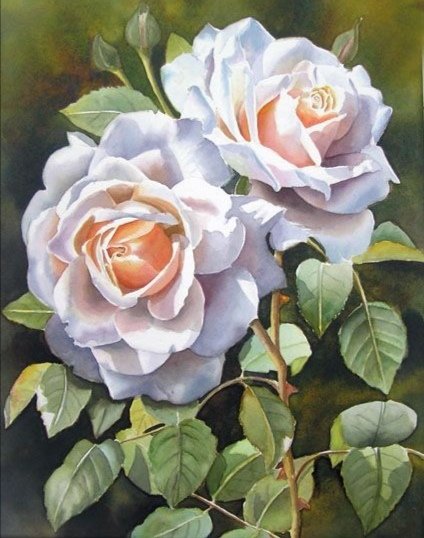 Розы - розы - оригинал