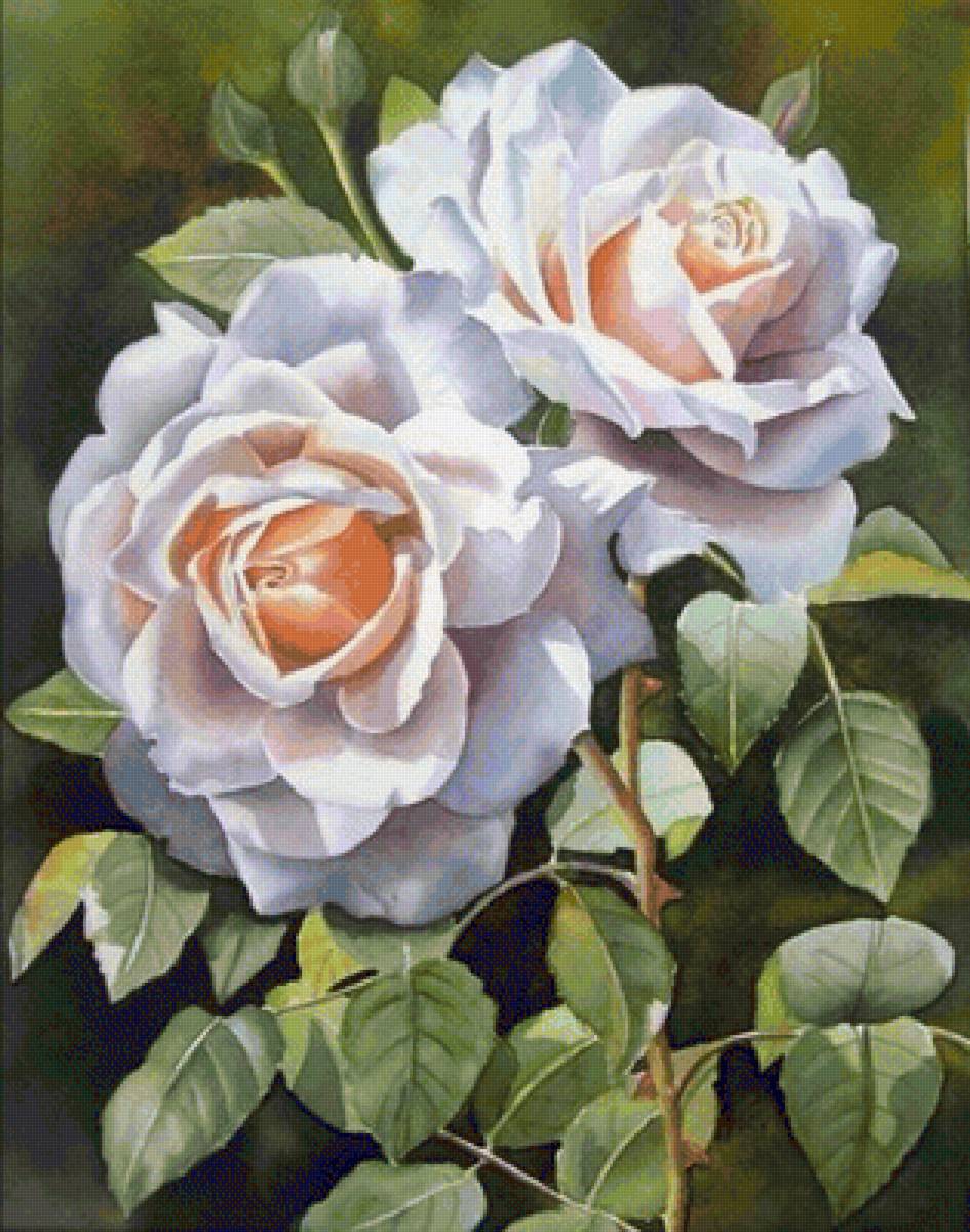 Розы - розы - предпросмотр