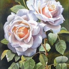 Схема вышивки «Розы»