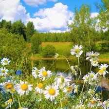 Схема вышивки «Пейзаж»