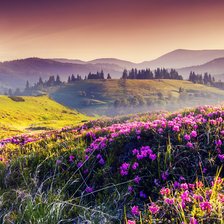 Схема вышивки «Альпийские луга»