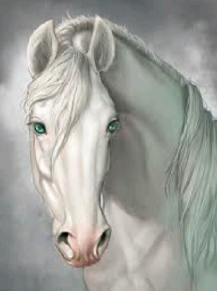 Белая лошадь - миф, лошади - оригинал
