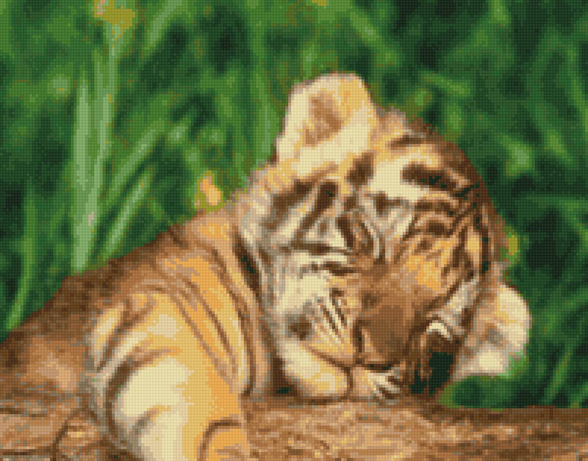 спящий тигренок - тигренок, спящий - предпросмотр