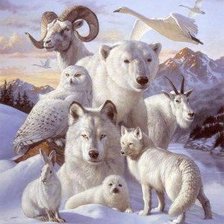 Схема вышивки «Животные севера»