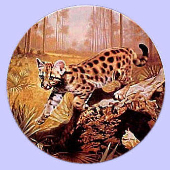 Бенгальская кошка дикая - подушка, кошка, дикая кошка - оригинал